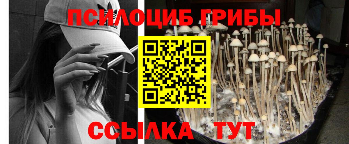 Севастополь  Галлюциногенные грибы Cubensis  Вход с VPN 