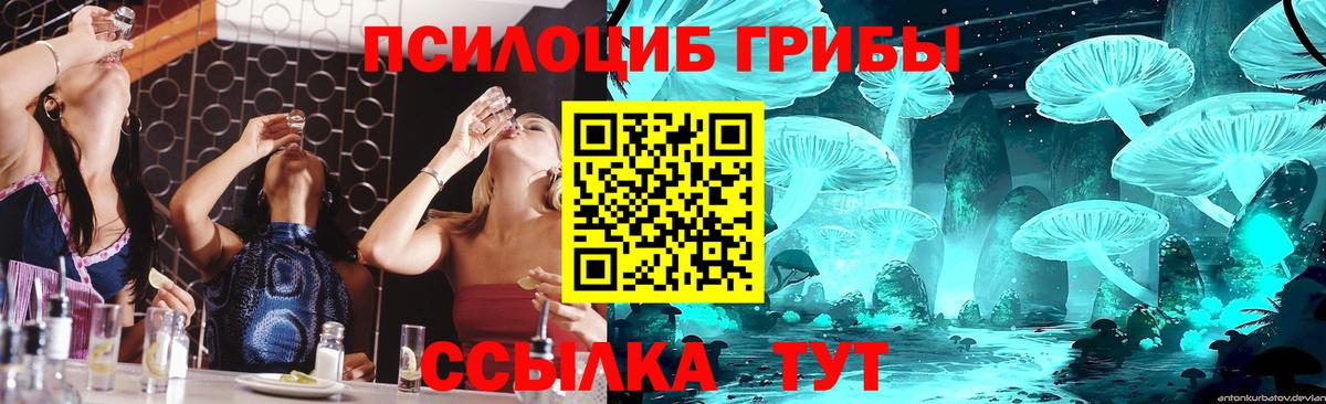 Псилоцибиновые грибы ЛСД Севастополь